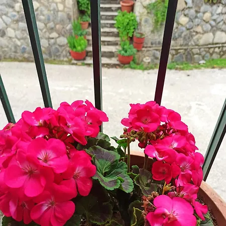 Feneos Apartment מראה חיצוני תמונה